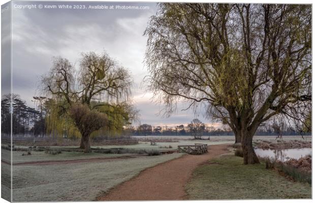 Walk between the ponds at dawn in Bushy Park Canvas Print by Kevin White