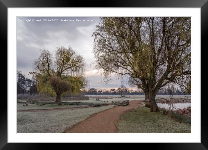 Walk between the ponds at dawn in Bushy Park Framed Mounted Print by Kevin White