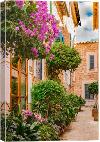 Romantic old village of Fornalutx Canvas Print by Alex Winter