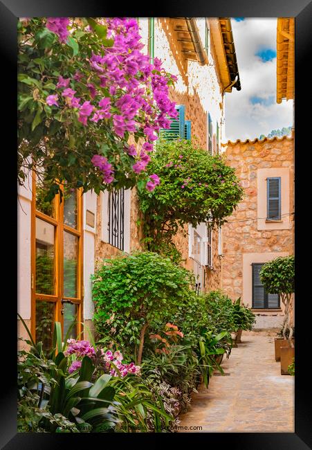 Romantic old village of Fornalutx Framed Print by Alex Winter