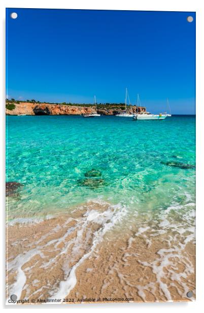 Beach Majorca, beautiful bay of Cala Varques Acrylic by Alex Winter