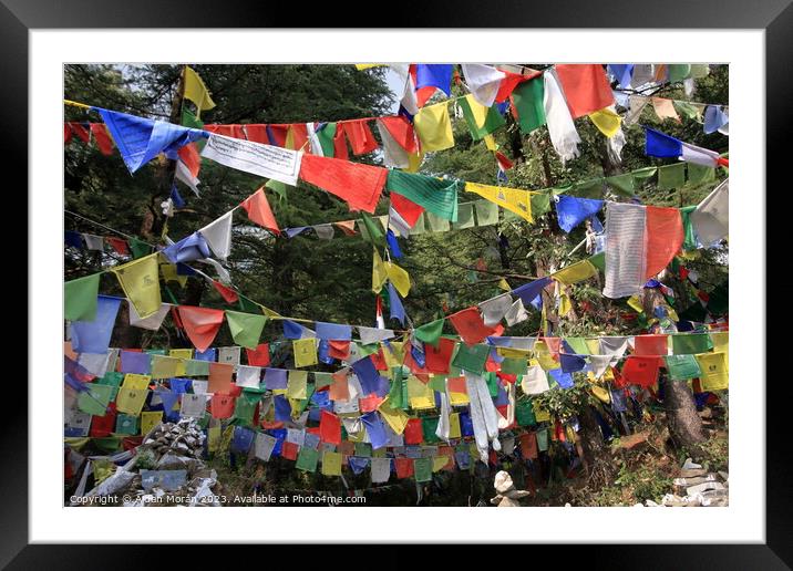 Vibrant Prayer Flags Fluttering in the Wind Framed Mounted Print by Aidan Moran