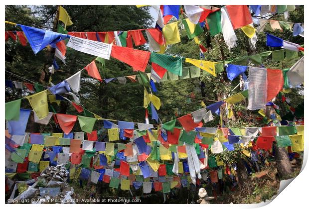 Vibrant Prayer Flags Fluttering in the Wind Print by Aidan Moran