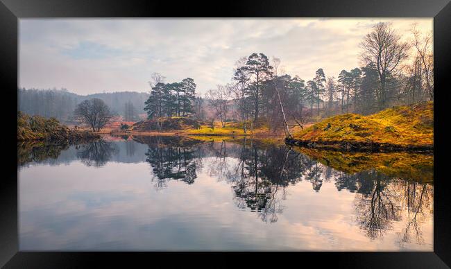 Tarn Hows Lake District Framed Print by Tim Hill