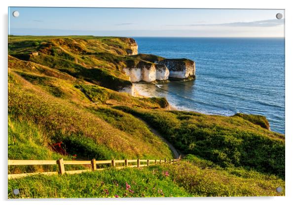 Flamborough Head Landscape Acrylic by Tim Hill