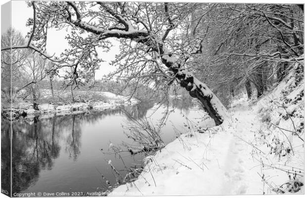Monochrome Sun breaking through the mist over the Teviot River in winter snow in the Scottish Borders Canvas Print by Dave Collins