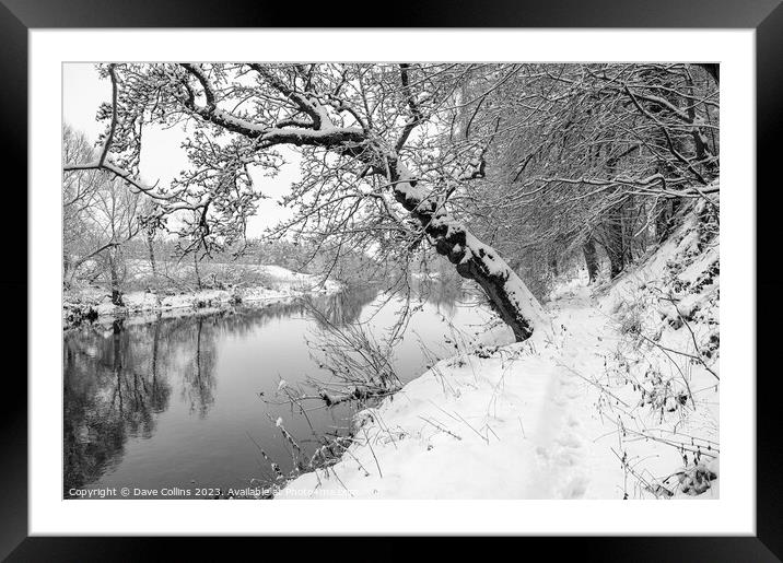 Monochrome Sun breaking through the mist over the Teviot River in winter snow in the Scottish Borders Framed Mounted Print by Dave Collins