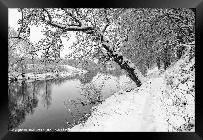 Monochrome Sun breaking through the mist over the Teviot River in winter snow in the Scottish Borders Framed Print by Dave Collins