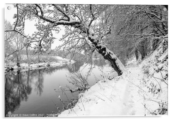 Monochrome Sun breaking through the mist over the Teviot River in winter snow in the Scottish Borders Acrylic by Dave Collins