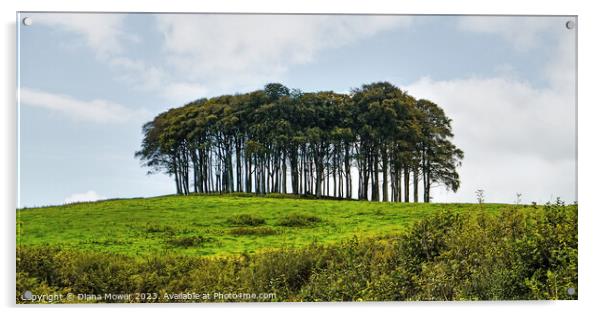 The Nearly Home Trees, coming home trees panoramic Acrylic by Diana Mower