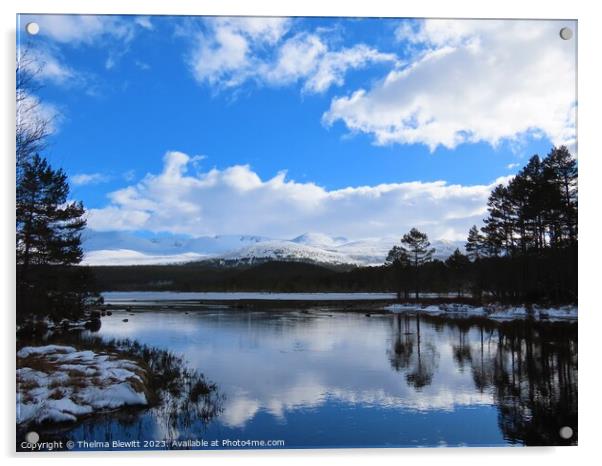 Winter at Loch Morlich Acrylic by Thelma Blewitt