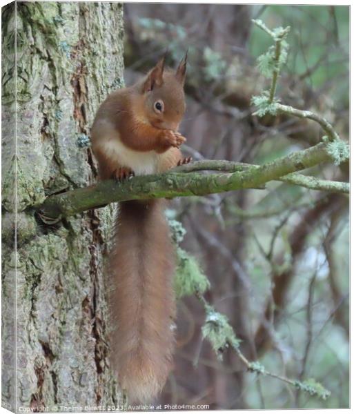 Red Squirrel Dining Canvas Print by Thelma Blewitt
