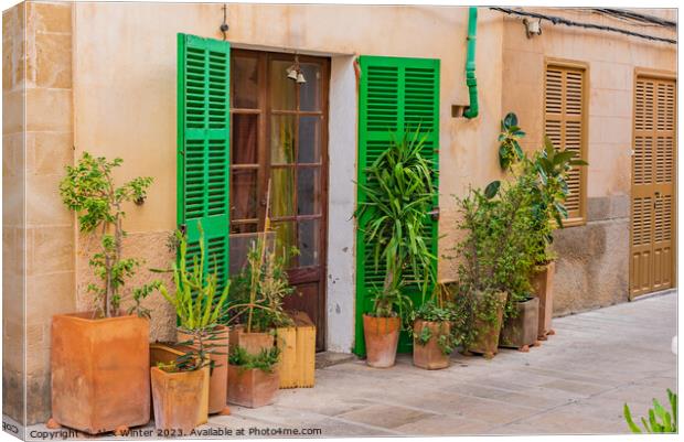 House with flower pots in the old town of Alcudia Canvas Print by Alex Winter