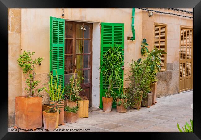 House with flower pots in the old town of Alcudia Framed Print by Alex Winter