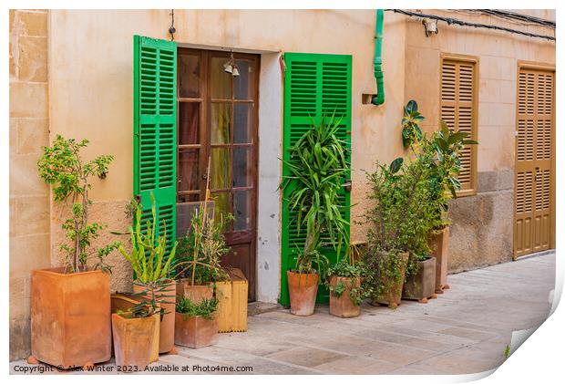 House with flower pots in the old town of Alcudia Print by Alex Winter