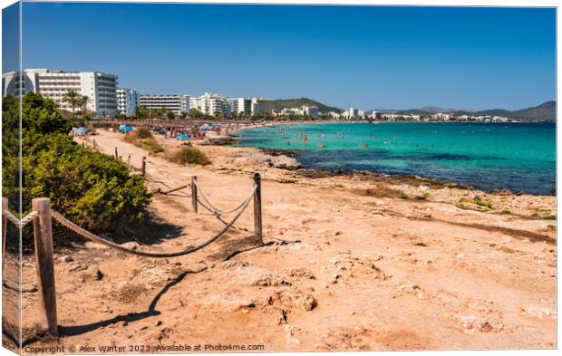 Cala Millor beach at the seaside on Majorca island Canvas Print by Alex Winter