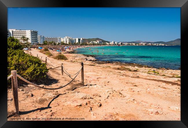 Cala Millor beach at the seaside on Majorca island Framed Print by Alex Winter