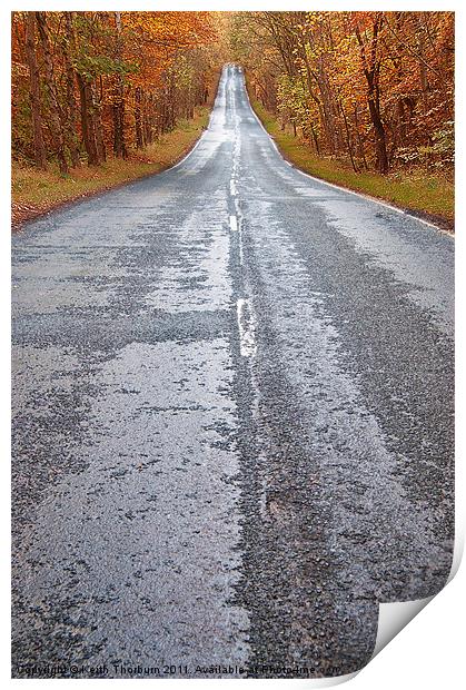 Autumn Road Print by Keith Thorburn EFIAP/b