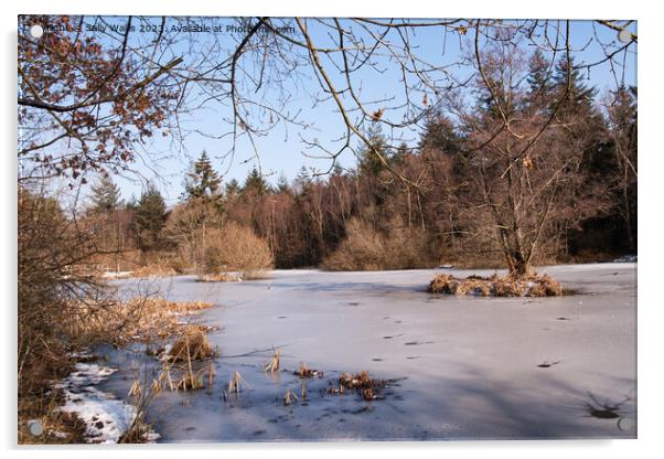 Carp Pond frozen Acrylic by Sally Wallis