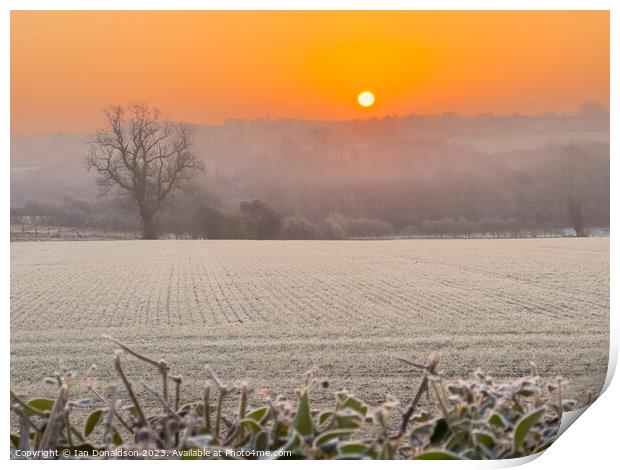 Enchanting Frozen Sunrise Print by Ian Donaldson
