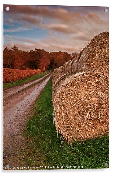 Hay Stacks Acrylic by Keith Thorburn EFIAP/b