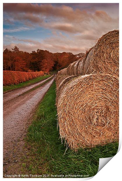 Hay Stacks Print by Keith Thorburn EFIAP/b