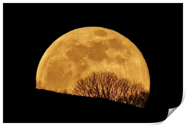 Golden Full Moon Rising Behind Trees Print by Susan Snow