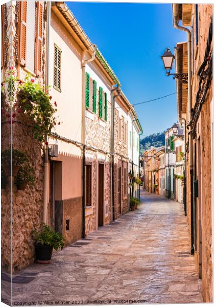 Empty street in the small town of Esporles Canvas Print by Alex Winter
