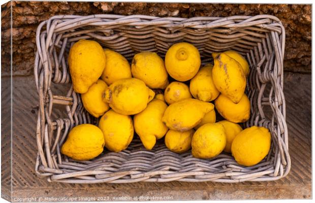 Lemons in a wicker basket Canvas Print by MallorcaScape Images
