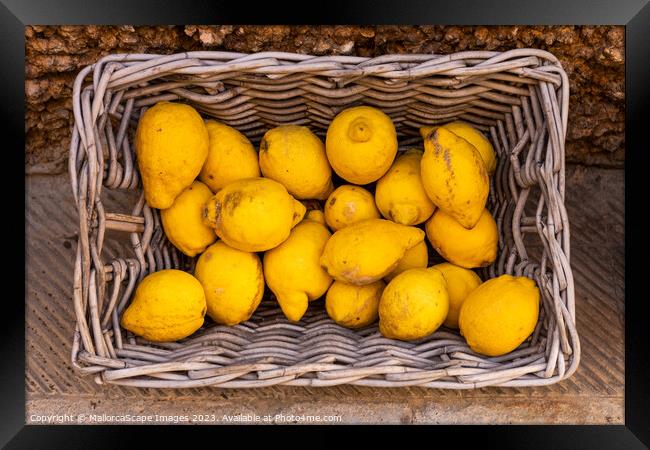 Lemons in a wicker basket Framed Print by MallorcaScape Images