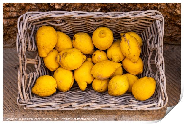 Lemons in a wicker basket Print by MallorcaScape Images