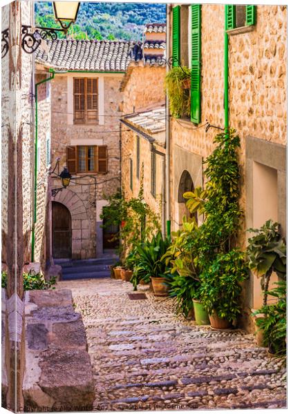 Idyllic village of Fornalutx on Majorca Canvas Print by Alex Winter