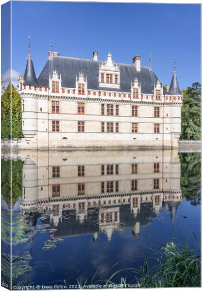 Reflections in the pond at Château d'Azay-le-Rideau Canvas Print by Dave Collins