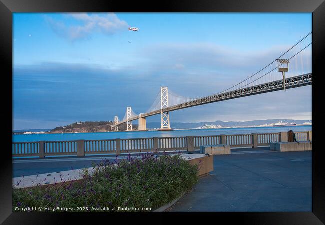 Bay bridge San Francisco USA   Framed Print by Holly Burgess