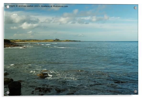 Northumbrian coast Acrylic by andrew saxton