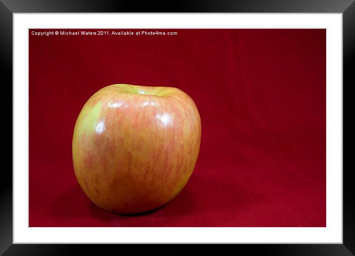 Red Apple Framed Mounted Print by Michael Waters Photography