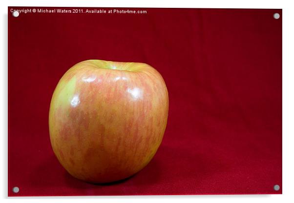 Red Apple Acrylic by Michael Waters Photography