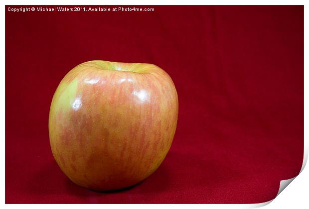 Red Apple Print by Michael Waters Photography