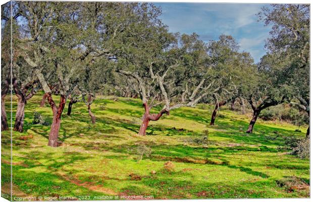 Harvesting Cork Trees in Portugal Canvas Print by Roger Mechan