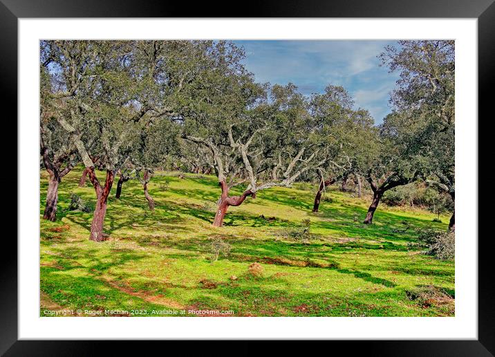 Harvesting Cork Trees in Portugal Framed Mounted Print by Roger Mechan