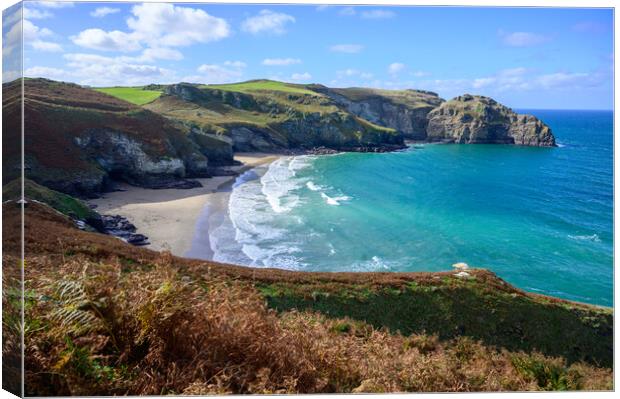 Bossiney Haven near Tintagel, Cornwall Canvas Print by Tracey Turner