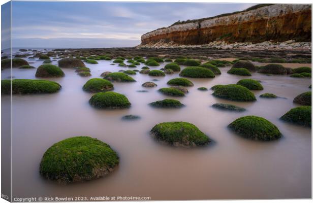 Hunstanton Cliffs Canvas Print by Rick Bowden