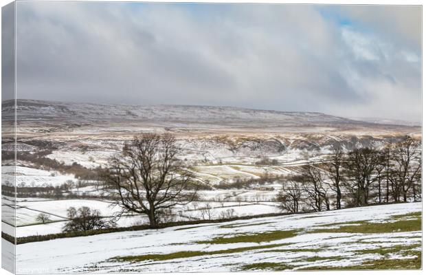 Holwick from Middle Side in Patchy Snow (2) Canvas Print by Richard Laidler