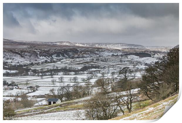 Bright Spot on Cronkley Fell and Scar  Print by Richard Laidler