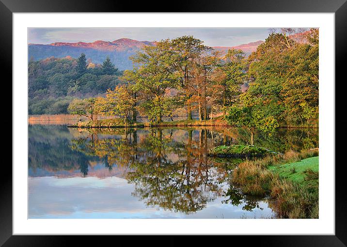 Early Morning Sun . Framed Mounted Print by Irene Burdell