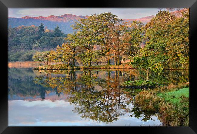 Early Morning Sun . Framed Print by Irene Burdell