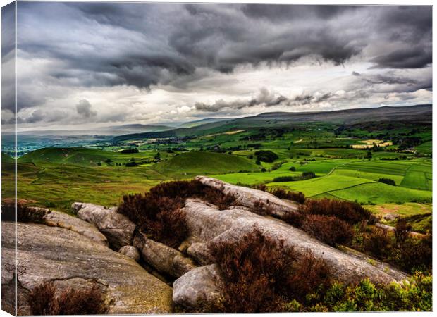 Yorkshire Dales from Barden Moor Canvas Print by James Elkington