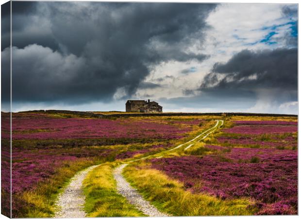 Rocking Hall in a sea of purple heather Canvas Print by James Elkington