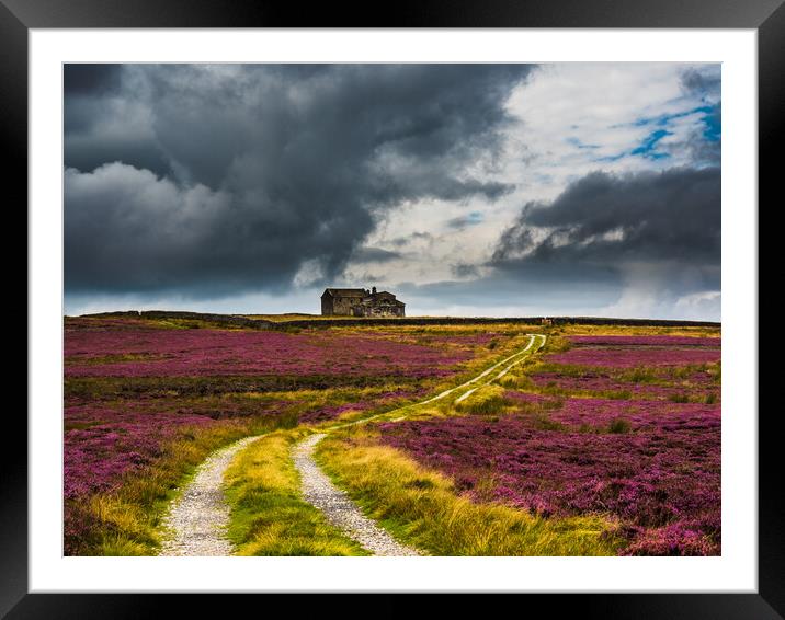 Rocking Hall in a sea of purple heather Framed Mounted Print by James Elkington