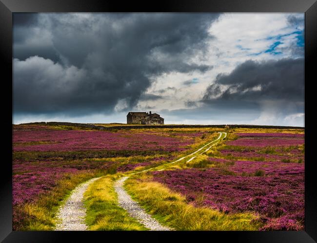 Rocking Hall in a sea of purple heather Framed Print by James Elkington